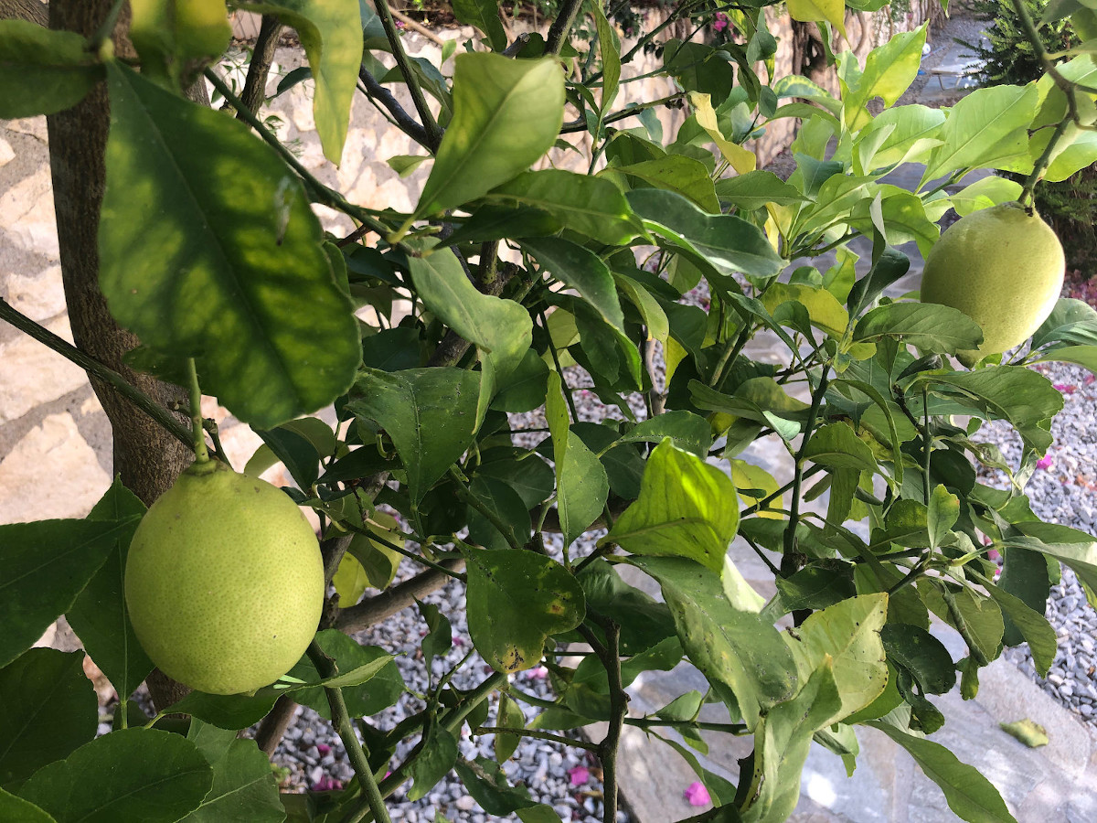 Villa Ithaka op Kreta, het ideale vakantiethuis!